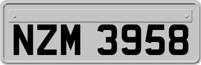 NZM3958