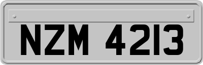 NZM4213