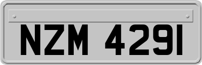 NZM4291