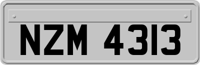 NZM4313