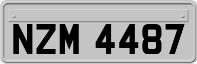 NZM4487
