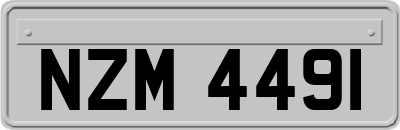 NZM4491