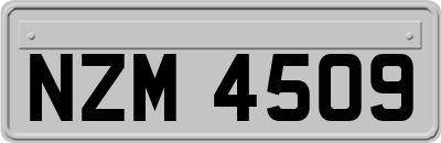 NZM4509