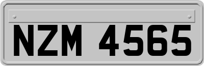 NZM4565
