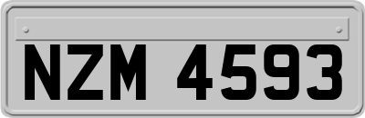 NZM4593
