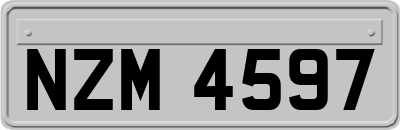 NZM4597