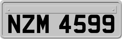 NZM4599