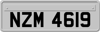 NZM4619