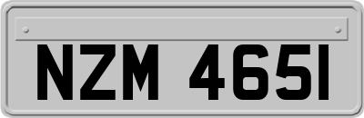NZM4651