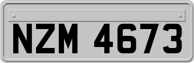NZM4673