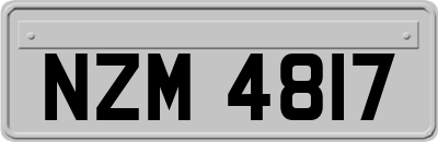 NZM4817