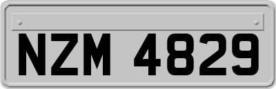 NZM4829