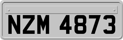 NZM4873