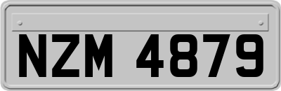 NZM4879
