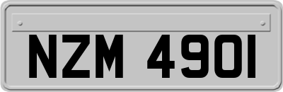 NZM4901