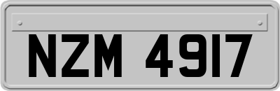 NZM4917