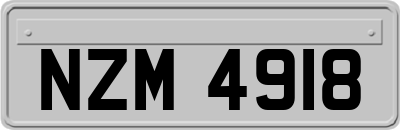 NZM4918
