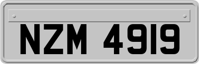 NZM4919
