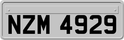 NZM4929