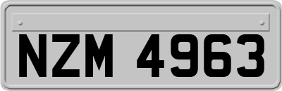 NZM4963