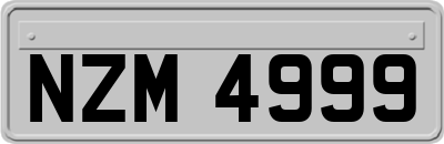 NZM4999