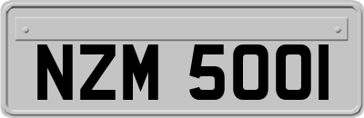 NZM5001