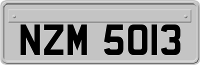 NZM5013