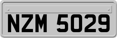 NZM5029