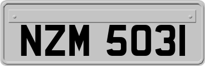 NZM5031