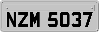 NZM5037