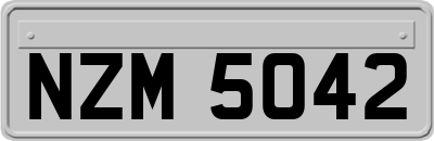 NZM5042