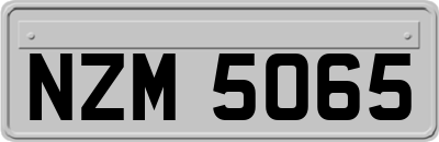NZM5065