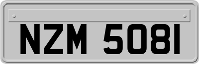 NZM5081