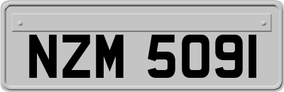 NZM5091