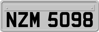 NZM5098