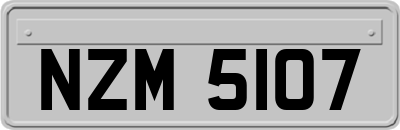 NZM5107