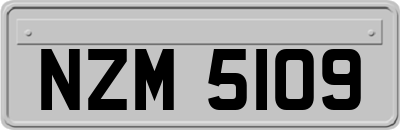 NZM5109