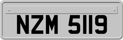 NZM5119