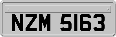 NZM5163