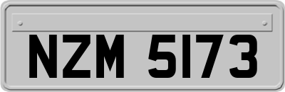 NZM5173