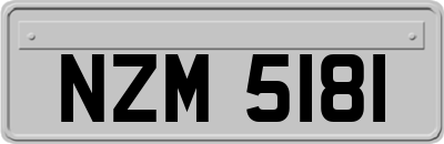 NZM5181