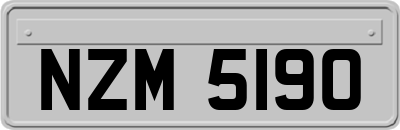 NZM5190