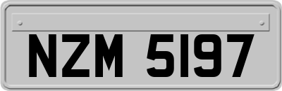 NZM5197
