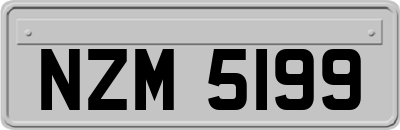 NZM5199