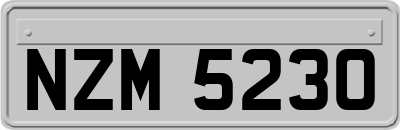 NZM5230