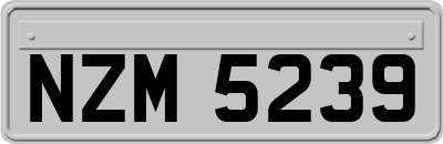 NZM5239