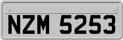 NZM5253