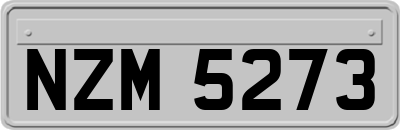 NZM5273