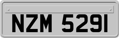NZM5291
