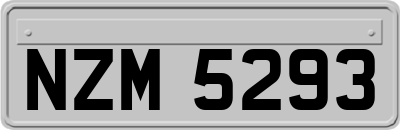 NZM5293